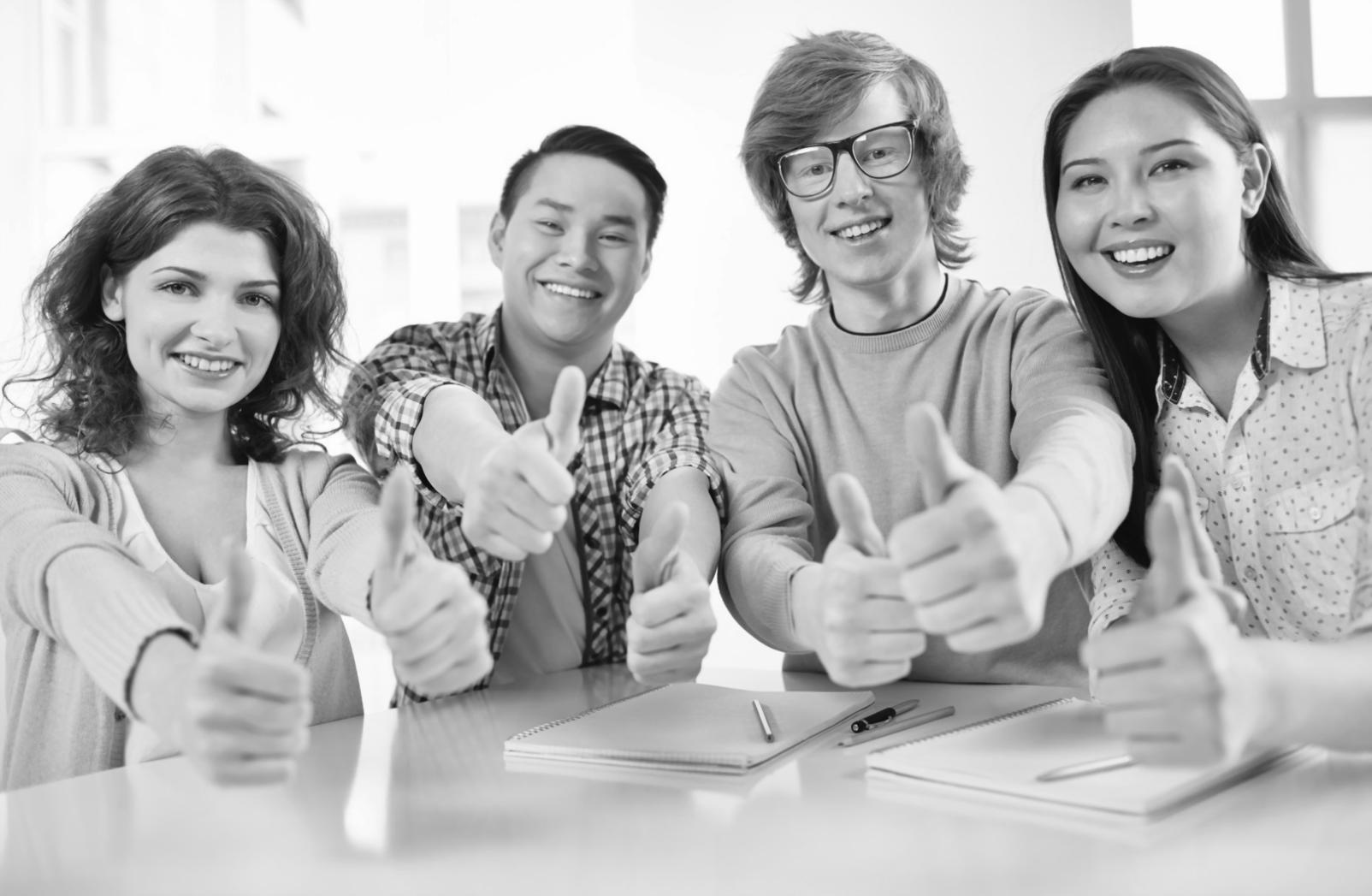 Professional legal education environment